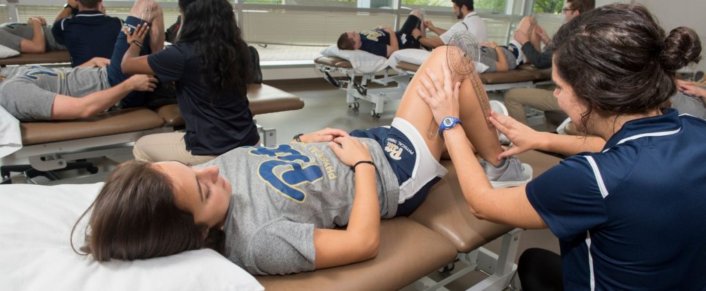 physiotherapy & chiropractic